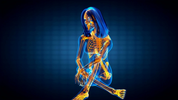 Human Bones Radiographic Scan alt