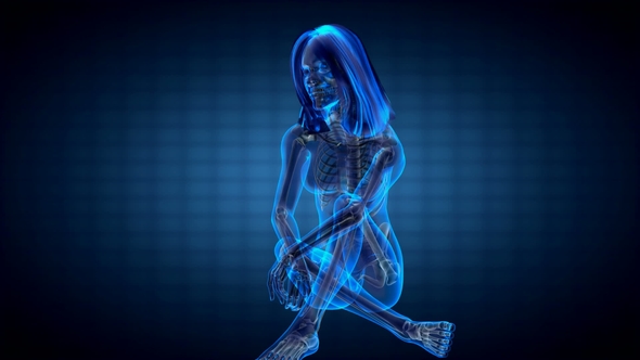 Human Bones Radiographic Scan alt