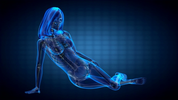 Human Bones Radiographic Scan alt