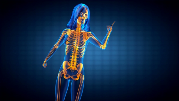 Human Bones Radiographic Scan alt