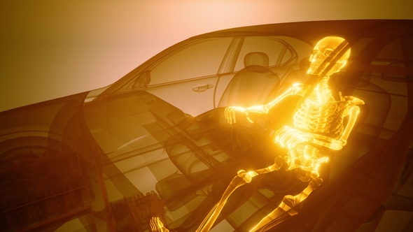 Driver with Visible Bones alt