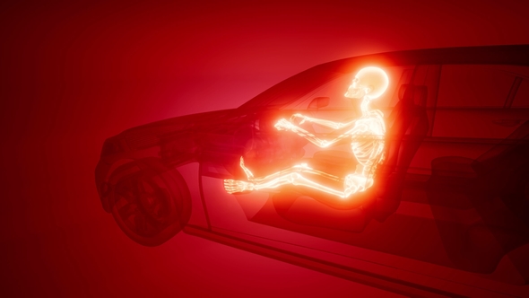 Driver with Visible Bones alt