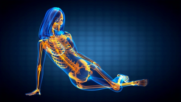 Human Bones Radiographic Scan alt