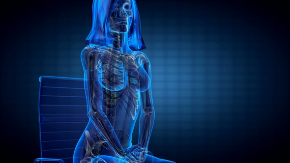 Human Bones Radiographic Scan alt