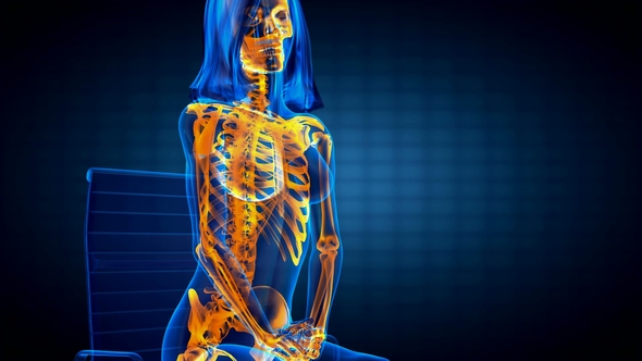 Human Bones Radiographic Scan alt