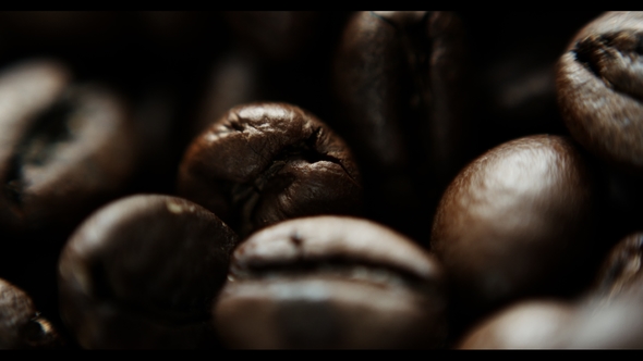 Shot of Coffee Beans