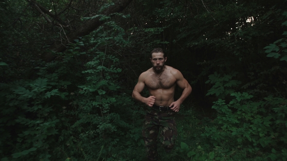 The Strong Bearded Fighter Runs in the Forest