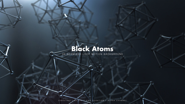 Black Atoms 3