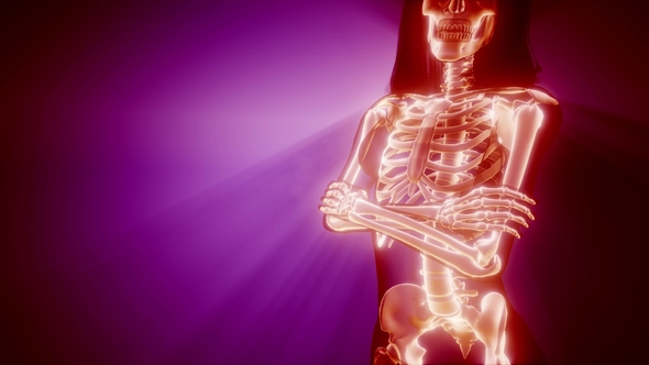 Human Bones Radiographic Scan alt