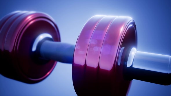 Metal Dumbbell Rotate alt