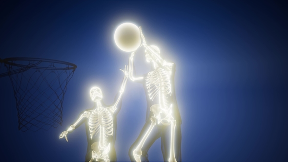 Basketball Game Player alt