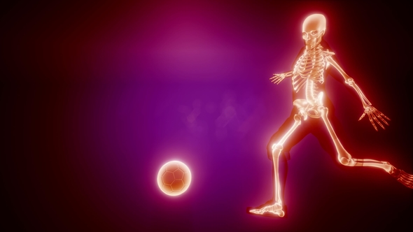 Soccer Game Player alt