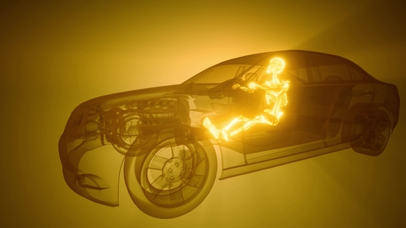 Driver with Visible Bones alt