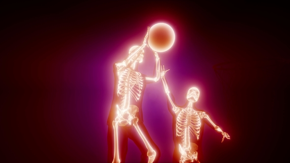 Basketball Game Player alt