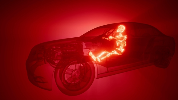 Driver with Visible Bones alt