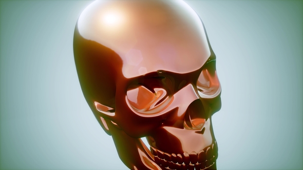 Metall Skull Rotate alt