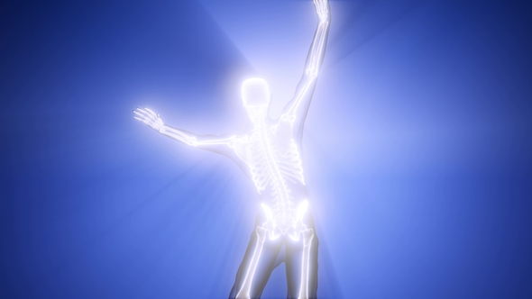 Human Bones Radiographic Scan alt