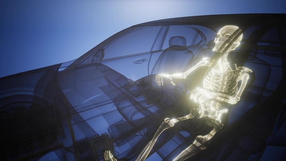 Driver with Visible Bones alt