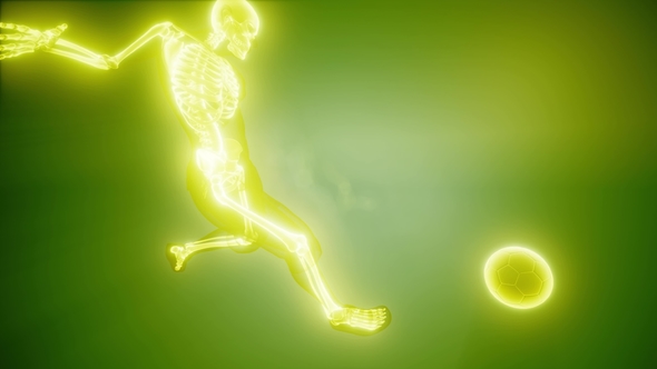 Soccer Game Player alt