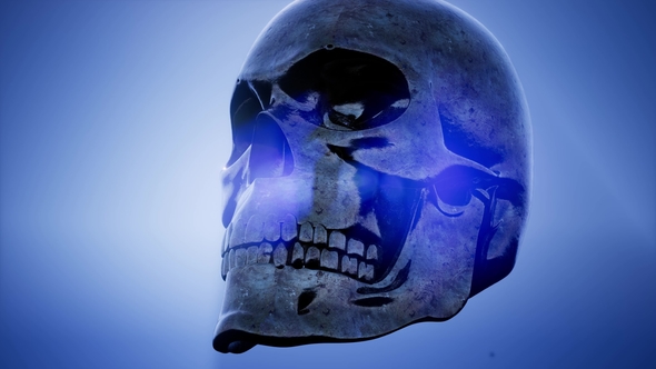 Metall Skull Rotate alt
