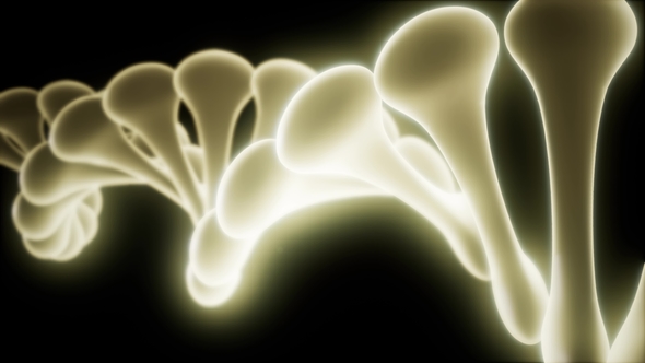 DNA Model Rotate alt