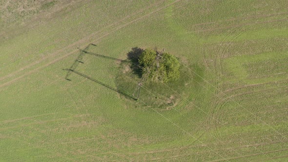 Above transmission system of electric power in the field 4K drone video