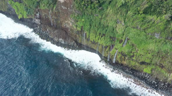 Tropical Forest Aerial