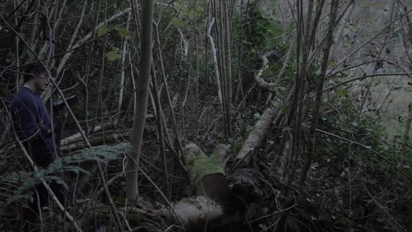 Young man chopping felled tree i wildnerness