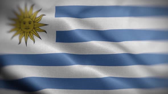 Uruguay Flag Textured Waving Front Background HD