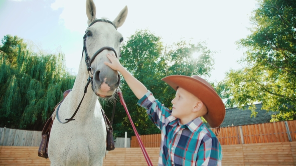 Young Little Cowboy Caressing a Pretty White Horse on the Area
