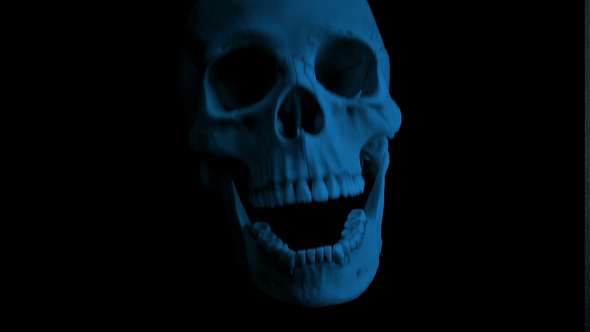 Skull Opens Mouth Eats Camera