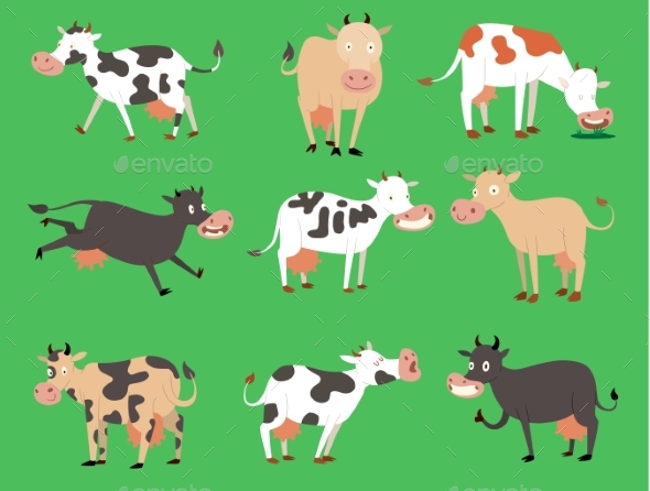 Milk Vector Cow Bull with Calf Buffalo Different