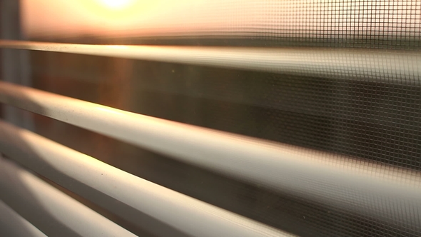 Sunrise Behind the Window Blinds and Mosquito Net