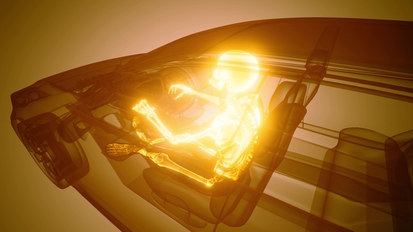 Driver with Visible Bones alt