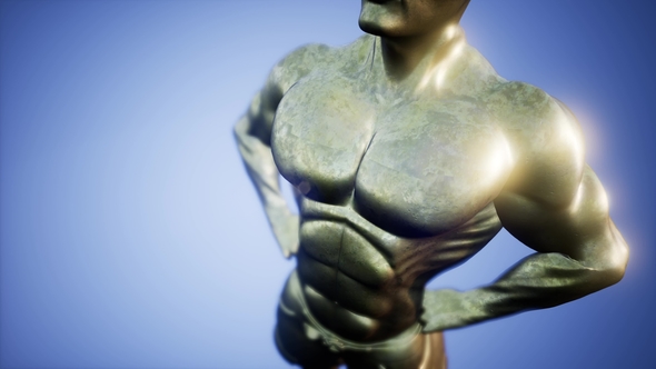 Very Strong Bodybuilder alt