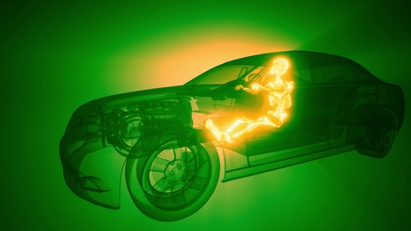 Driver with Visible Bones alt