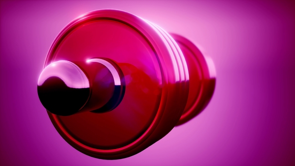 Metal Dumbbell Rotate alt