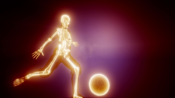 Soccer Game Player alt