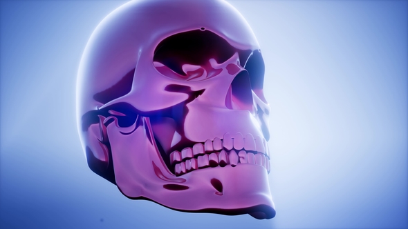 Metall Skull Rotate alt