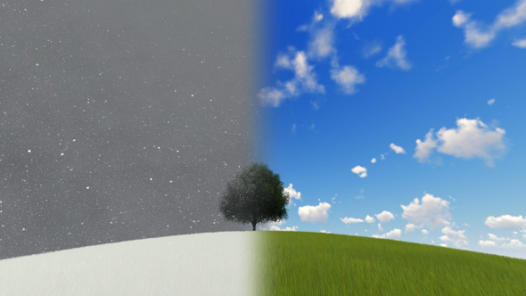 Two Seasons Tree Time Passing alt