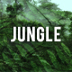 Jungle Ambience Loop