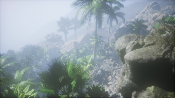 Sunset Beams Through Palm Trees alt