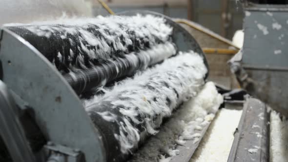 Wool Processing Carding Machine in Action