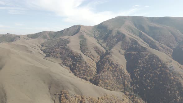 Flying over beautiful mountains in Bakuriani. Aerial view of Autumnal forest. Georgia