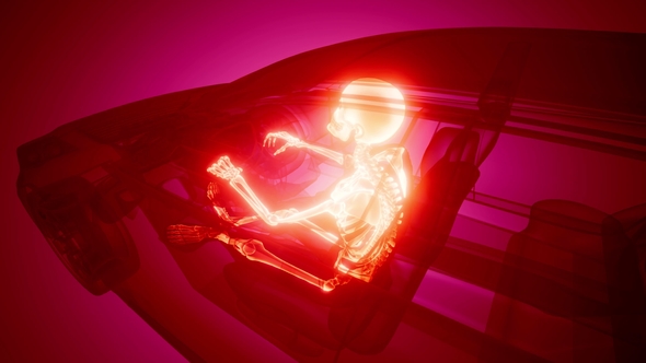 Driver with Visible Bones alt