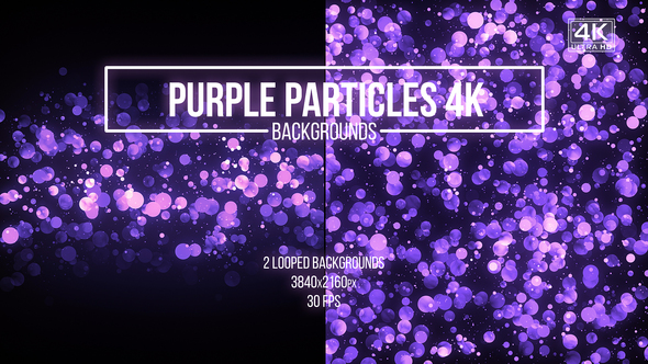 Purple Particles Backgrounds
