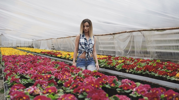 Happy Pretty Girl Walks, Chooses and Smells Flowers in Greenhouse