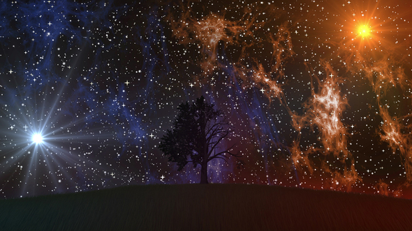 Silhouette Growing Tree At Night alt