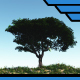 Tree Growing 2 - VideoHive Item for Sale