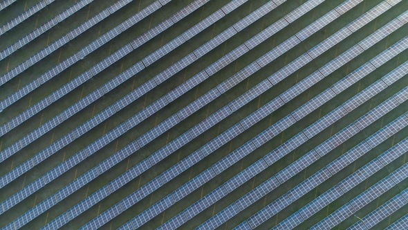 Large Field of Blue Photovoltaic Solar Panels at Sunny Day. Aerial Vertical Top-Down View